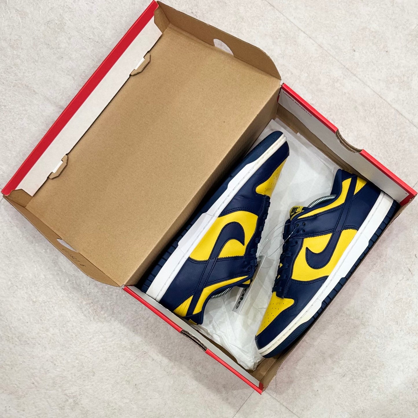 DD1391-700 Nike Dunk Michigan 2021