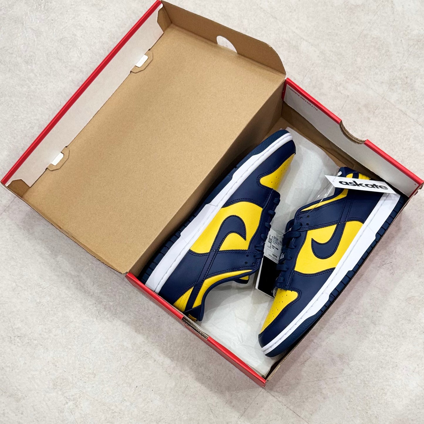 DD1391-700 Nike Dunk Michigan 2021