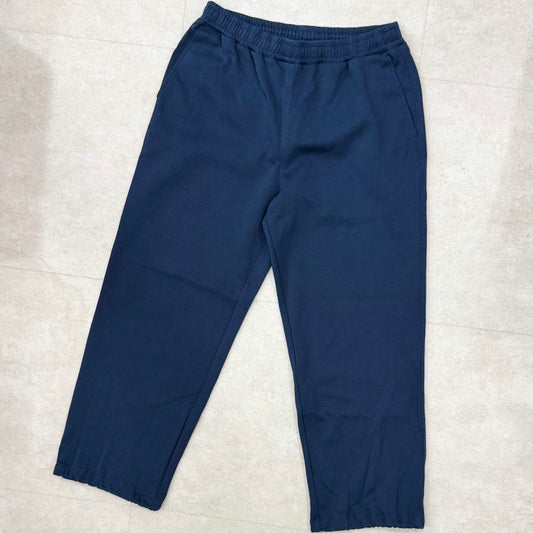 Freshservice Houyhnhnm Remote Work Pant Navy