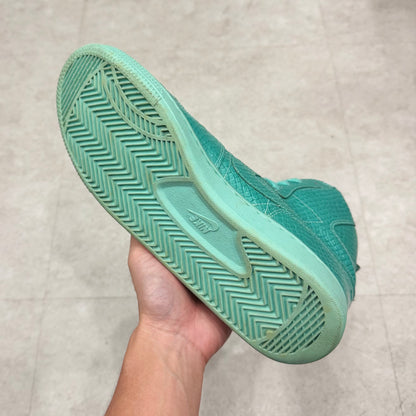 365487-232 Nike Terminator Swagger