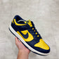 DD1391-700 Nike Dunk Michigan 2021