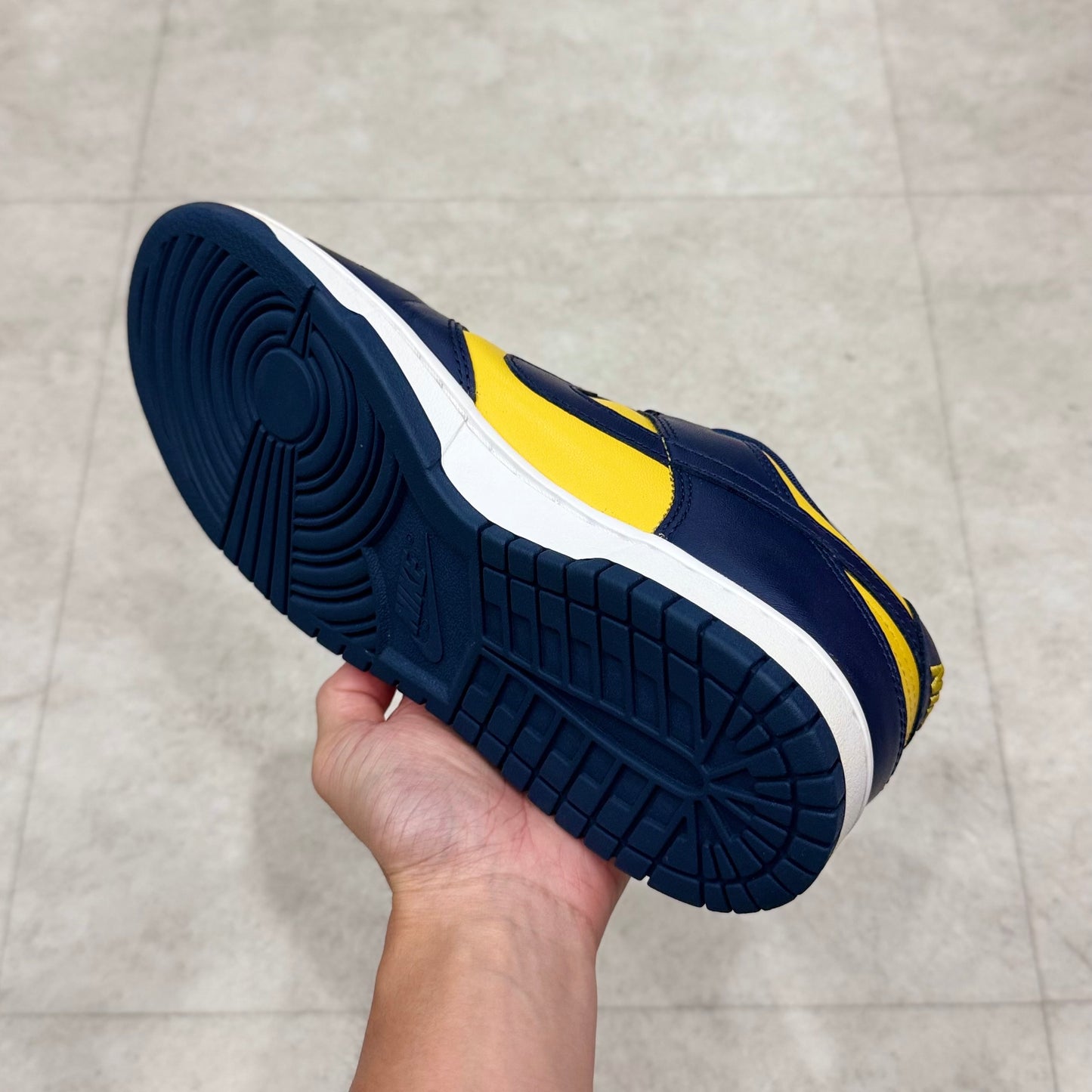 DD1391-700 Nike Dunk Michigan 2021