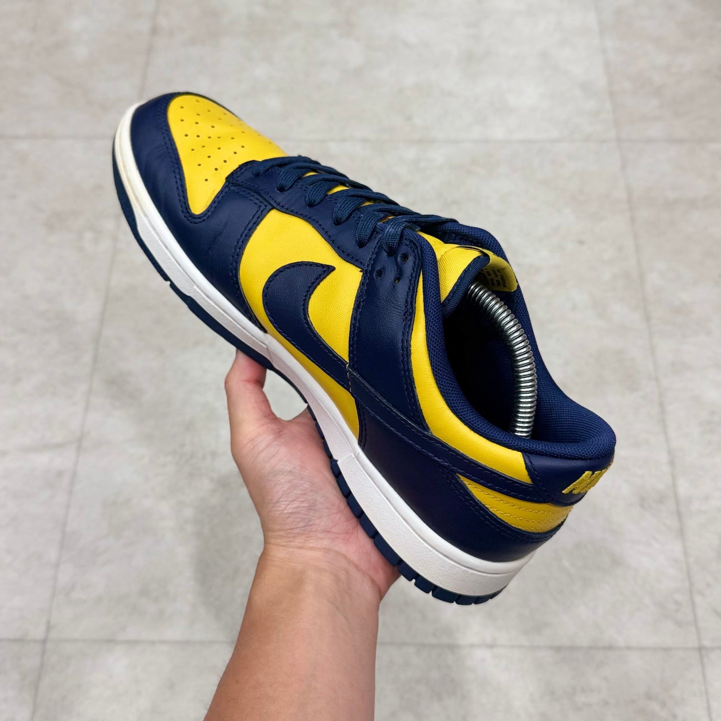DD1391-700 Nike Dunk Michigan 2021