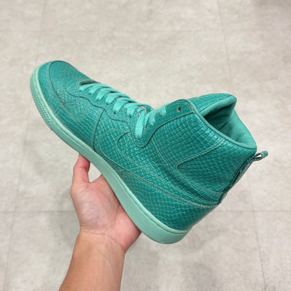 365487-232 Nike Terminator Swagger