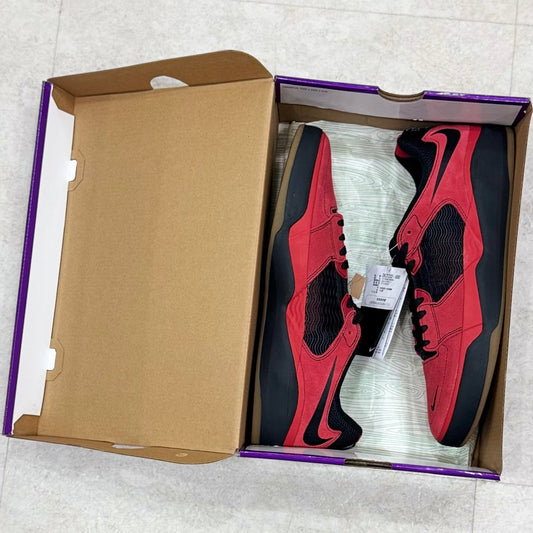 DC7232-600 Nike SB Ishod Wair Bred