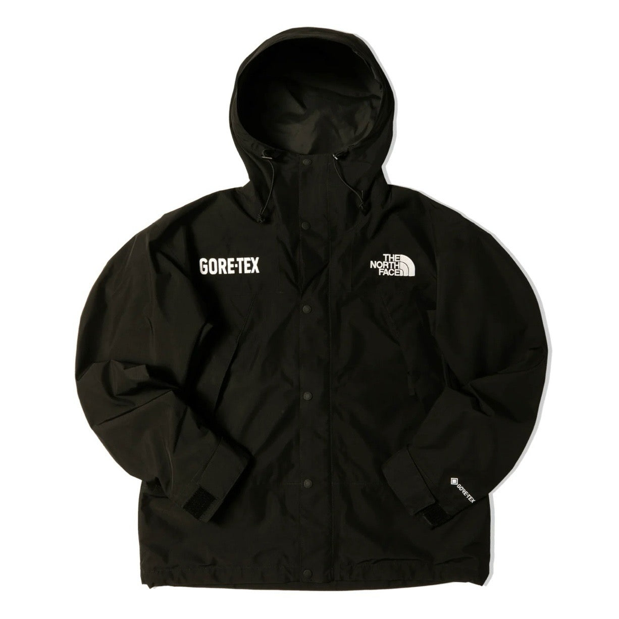 The North Face GTX Mountain Jacket Black