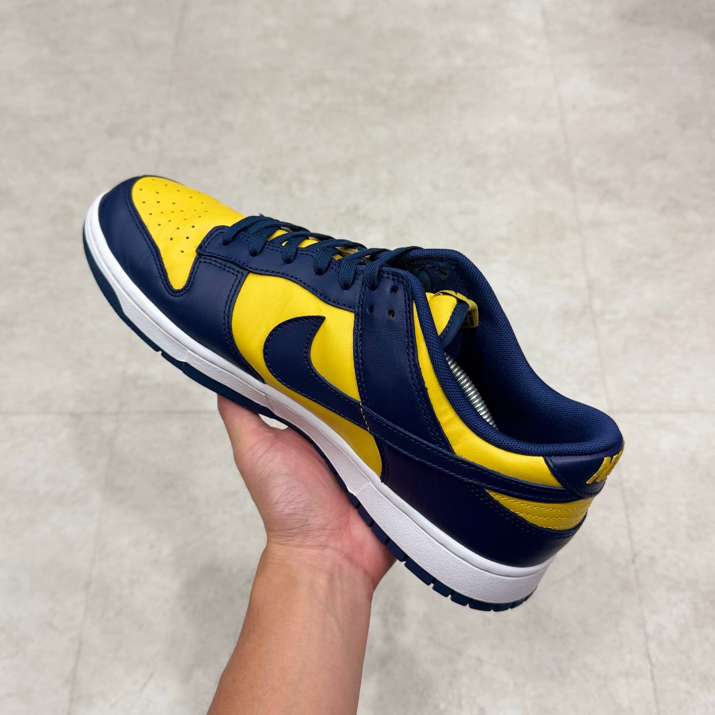 DD1391-700 Nike Dunk Michigan 2021