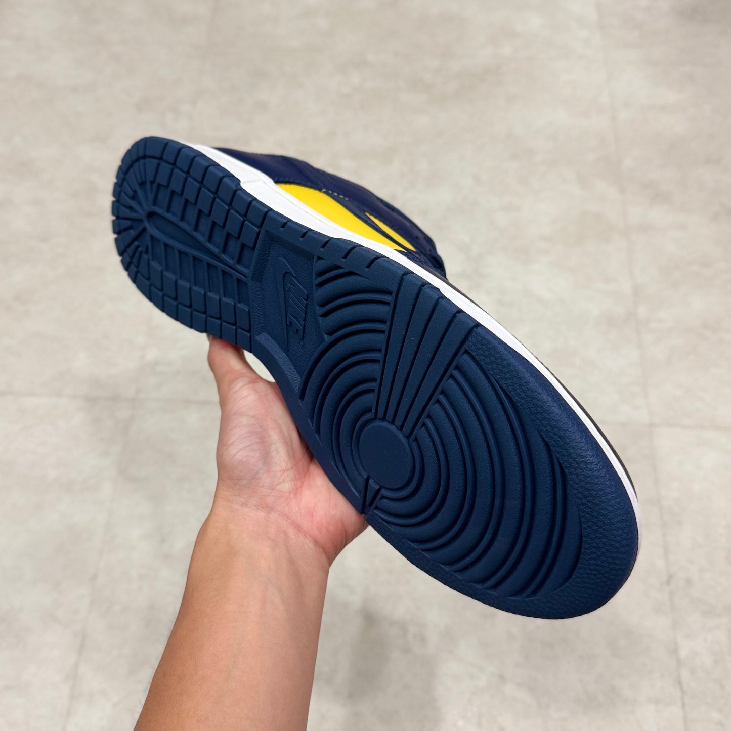 DD1391-700 Nike Dunk Michigan 2021