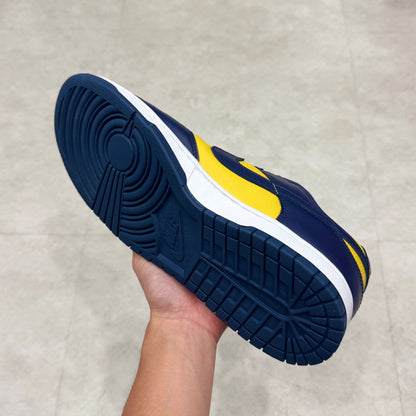 DD1391-700 Nike Dunk Michigan 2021