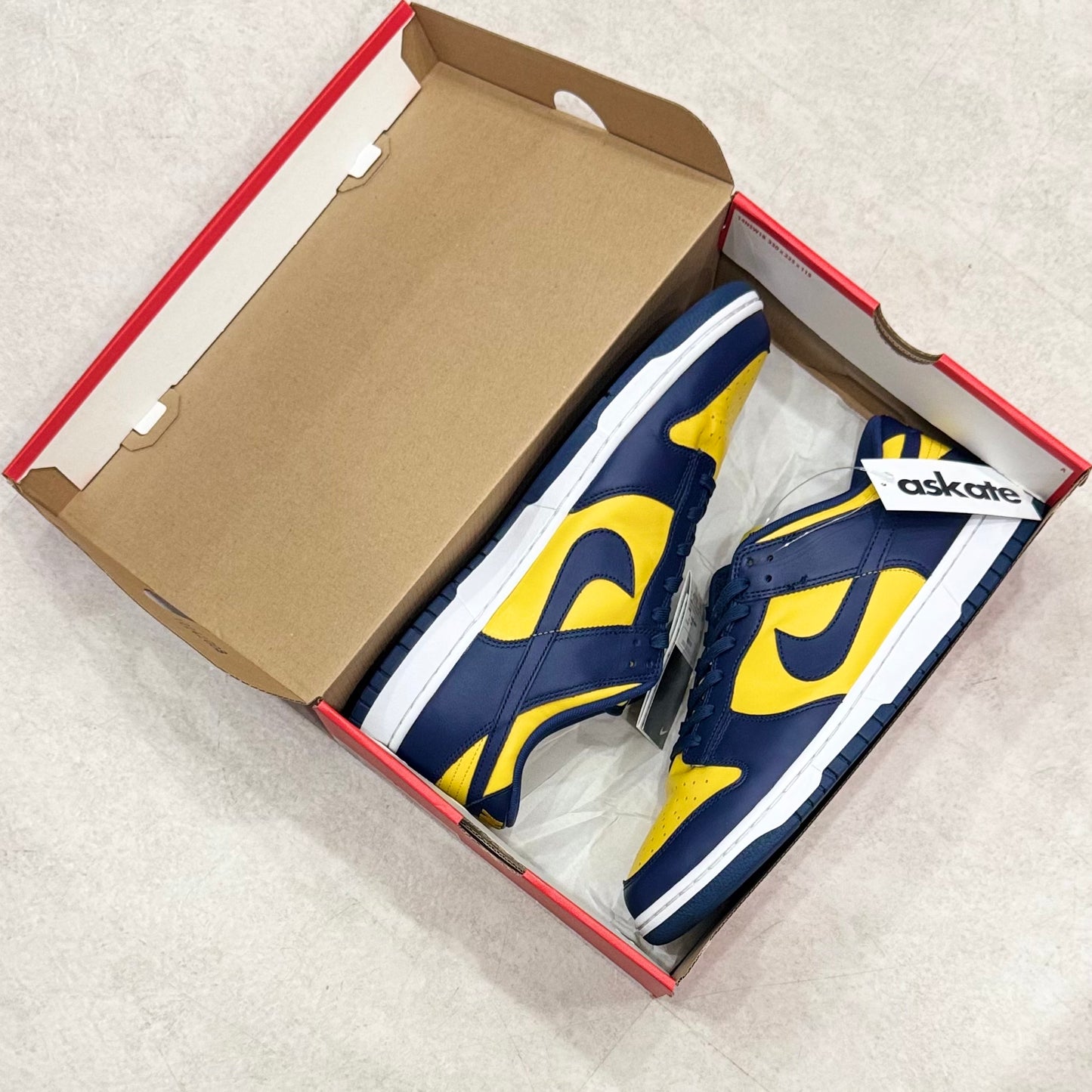 DD1391-700 Nike Dunk Michigan 2021
